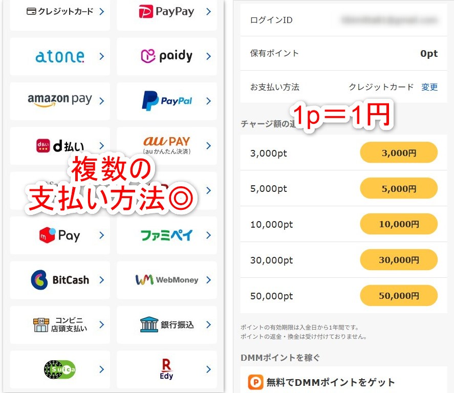 FANZAライブのチャージ画面