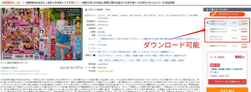 足立友梨のAV作品はダウンロードできる？